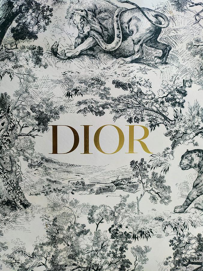 Best Of Dior Photograph by Valentine Weissnat - Fine Art America