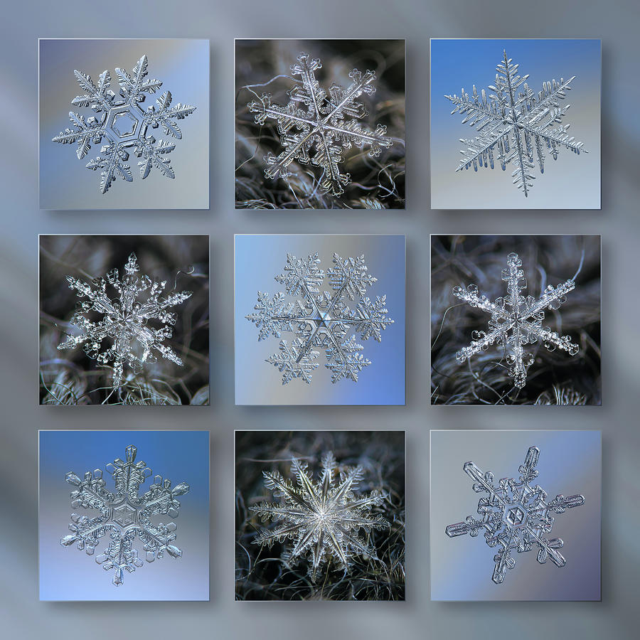 Best processed snowflakes 2021 Photograph by Alexey Kljatov