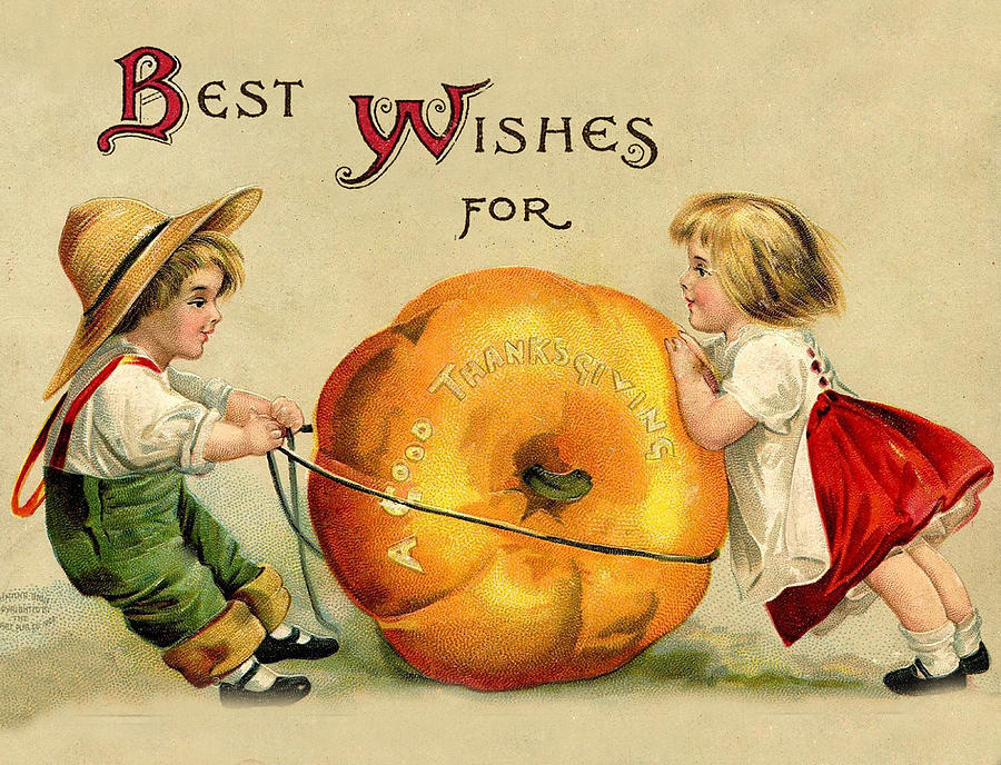 Best Wishes for Thanksgiving Digital Art by Long Shot