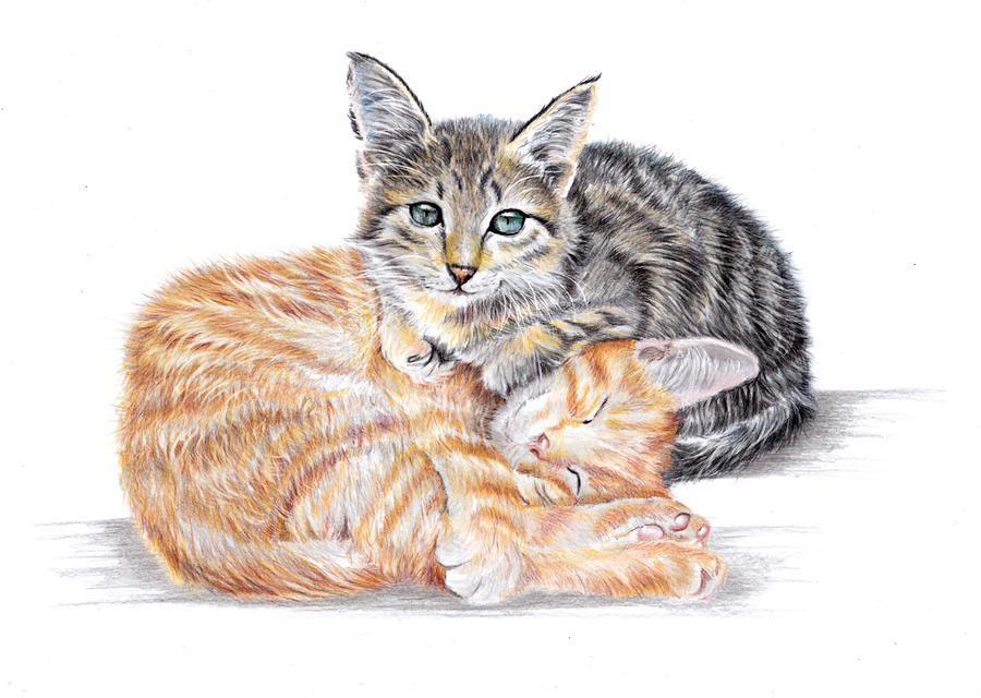 Besties Kittens Painting by Debra Hall