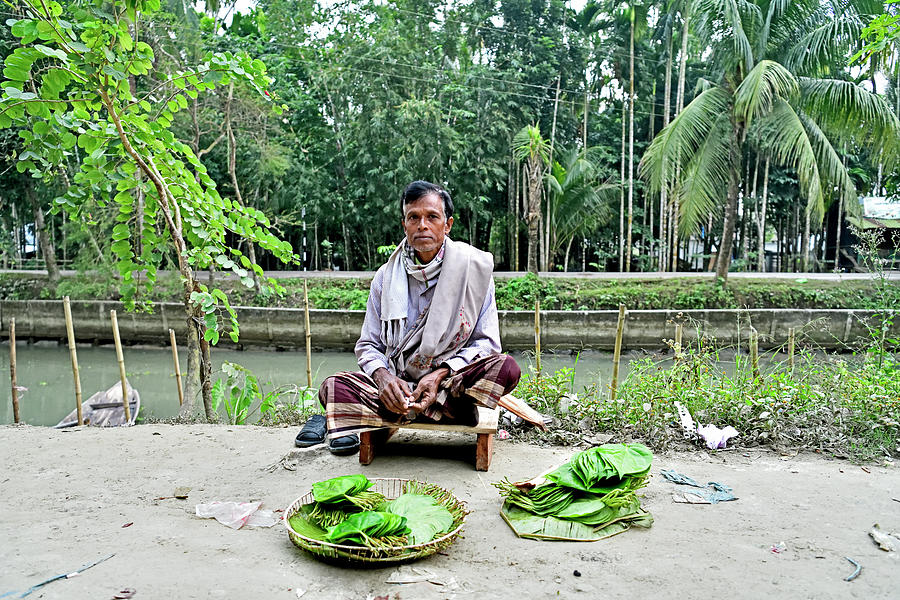 Betel Leaf and Vendor Photograph by Amazing Action Photo Video