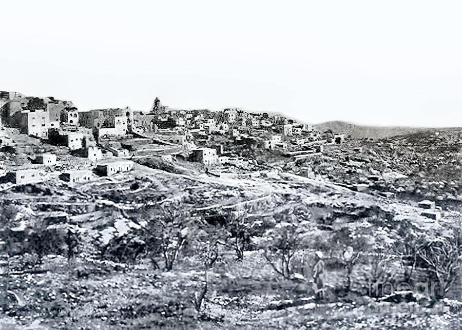 Bethlehem City Olive Trees in 1843 Photograph by Munir Alawi