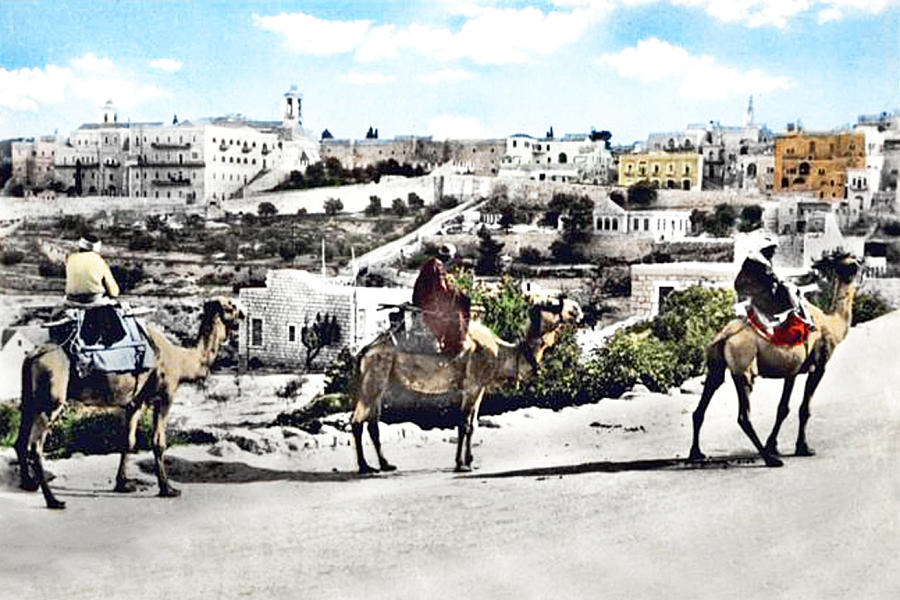 Bethlehem Three Camels Photograph by Munir Alawi