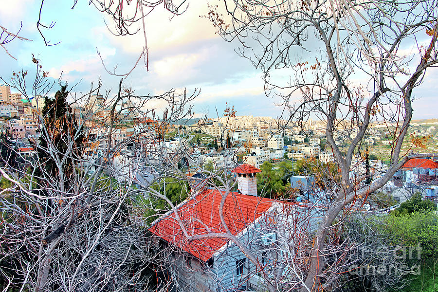 Bethlehem with Branches Photograph by Munir Alawi