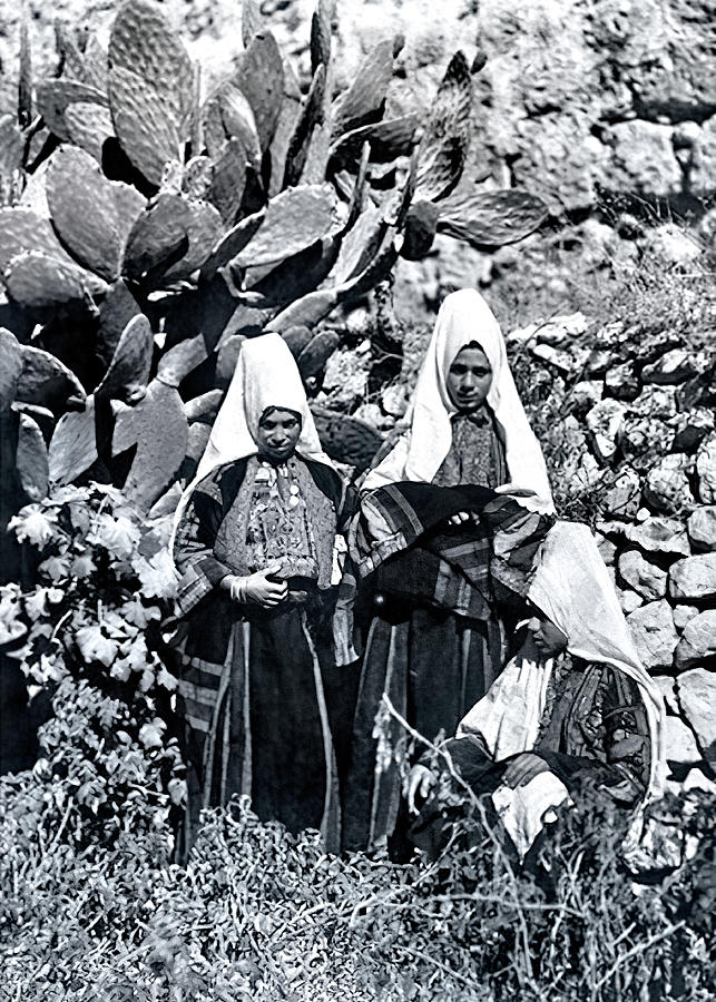 Bethlehem Women Next To Cactus Tree Photograph by Munir Alawi
