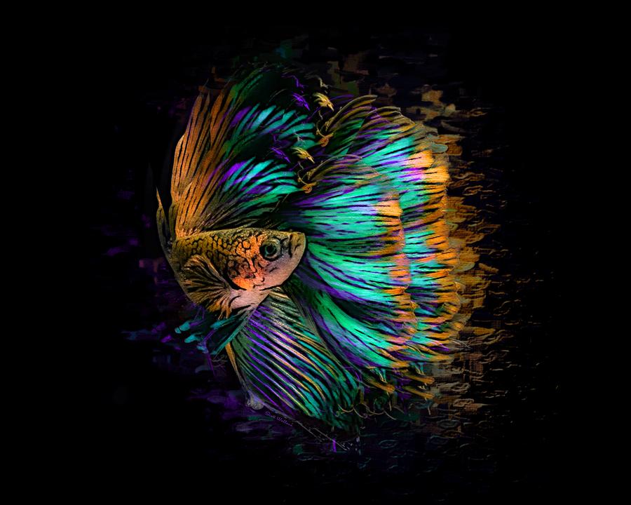 Betta Fish Abstract 01 Digital Art by Scott Wallace Digital
