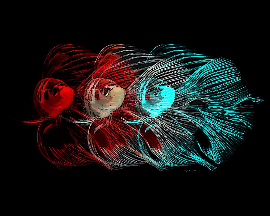 Betta Fish Abstract 04 Digital Art