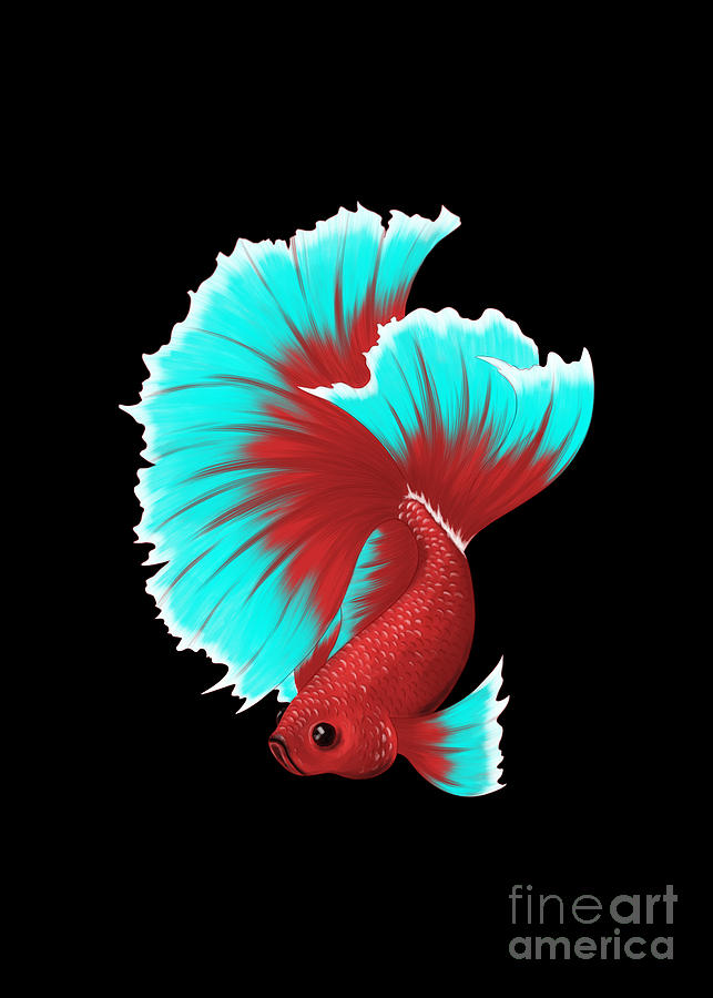 Betta Fish Digital Art by Arfan Artd - Fine Art America