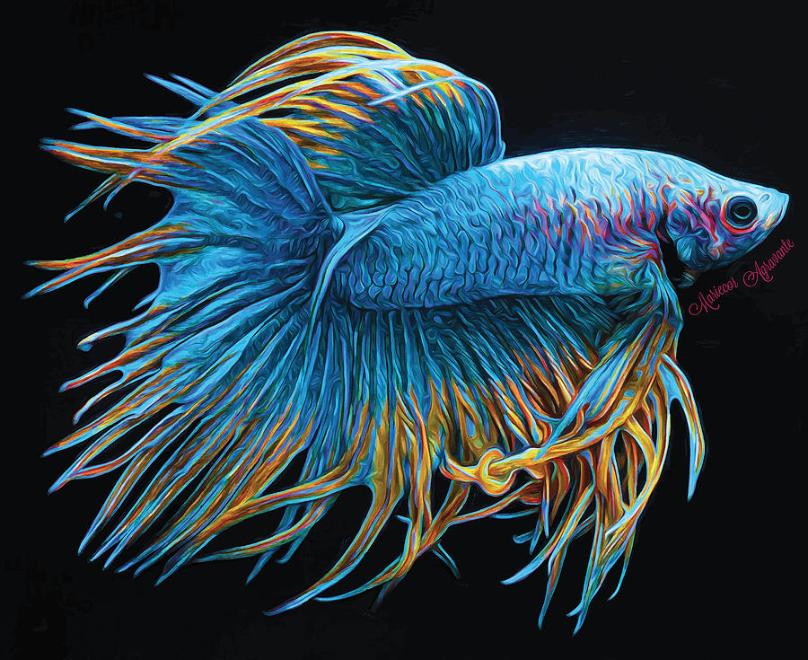 Fish Mixed Media - Betta Fish Crowntail, Blue with Gold and Red Highlights by Mariecor Agravante
