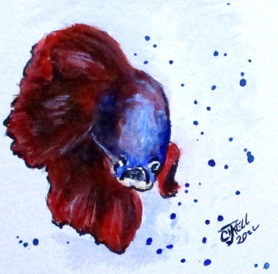 Betta Fish No1 Painting by Clyde J Kell