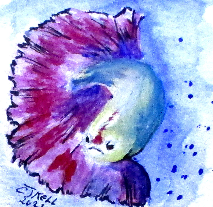 Betta Fish No2 Painting by Clyde J Kell