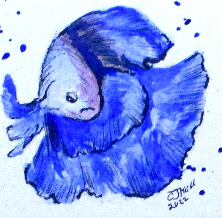 Betta Fish No4 Painting by Clyde J Kell