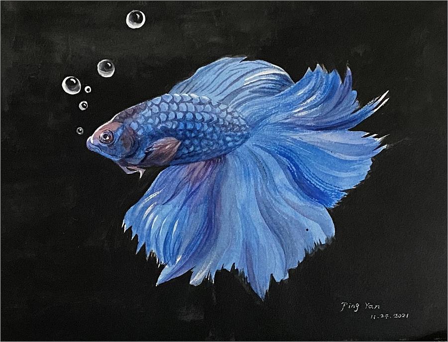 Betta Fish Painting by Ping Yan