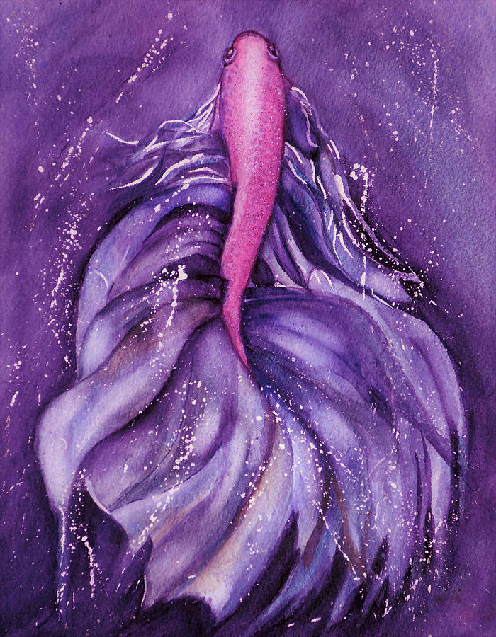 Betta Fish Purple Swirl Mixed Media by Kelly Mills