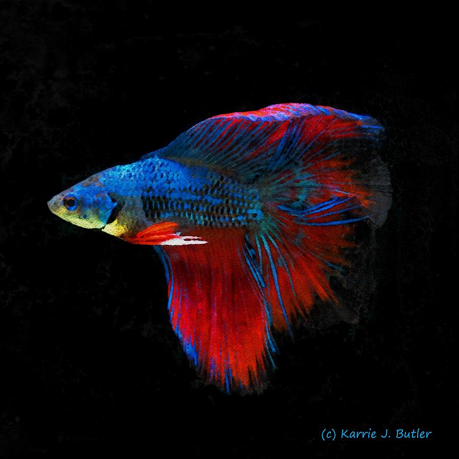 Betta Fish Square Painting by Karrie J Butler