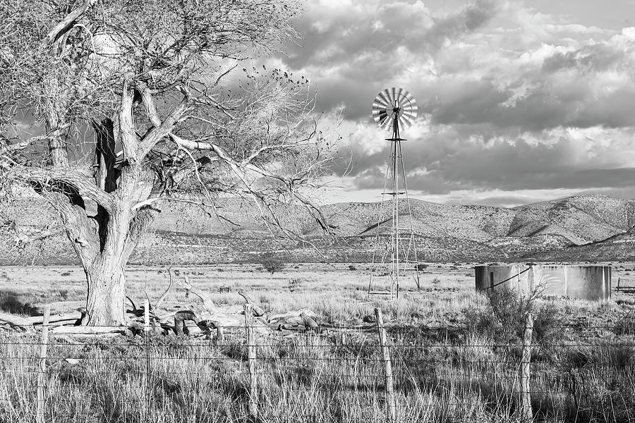 Between Marathon and Big Bend-003-M Photograph by David Allen Pierson Between Marathon and Big Bend-003-M Photograph by David Allen Pierson