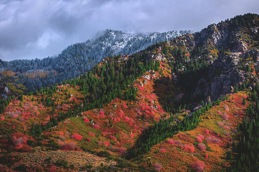 Between Seasons - Wasatch Mountains #3 Photograph by Abbie Matthews