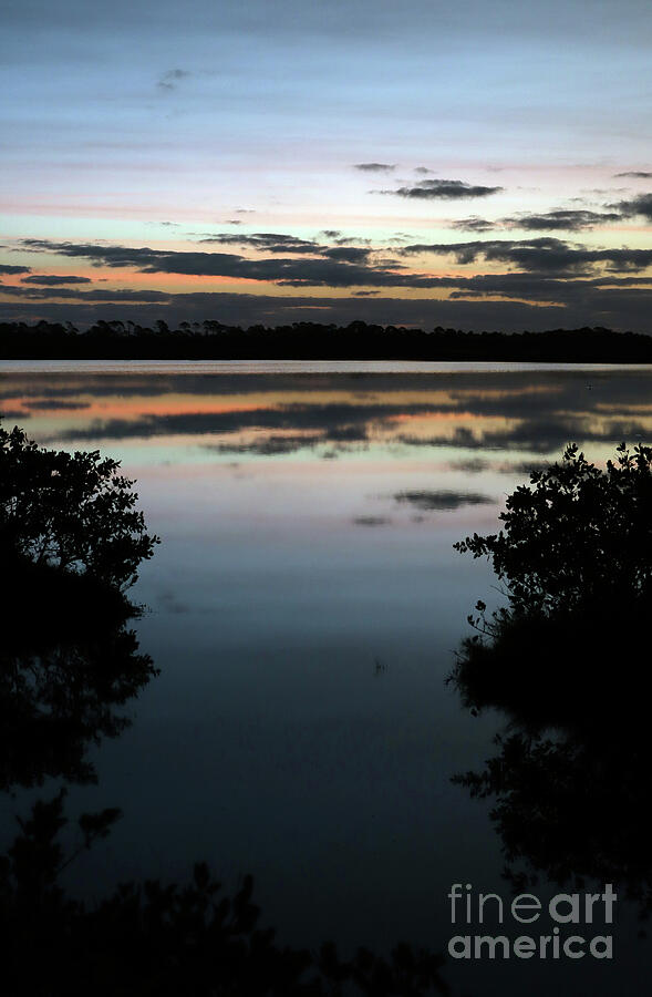 Between The Mangroves Photograph by Brenda Harle - Fine Art America