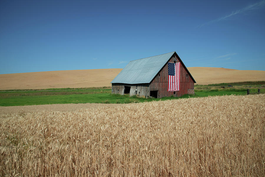 Barn Photograph - Between Waves of Grain  by Connie Carr
