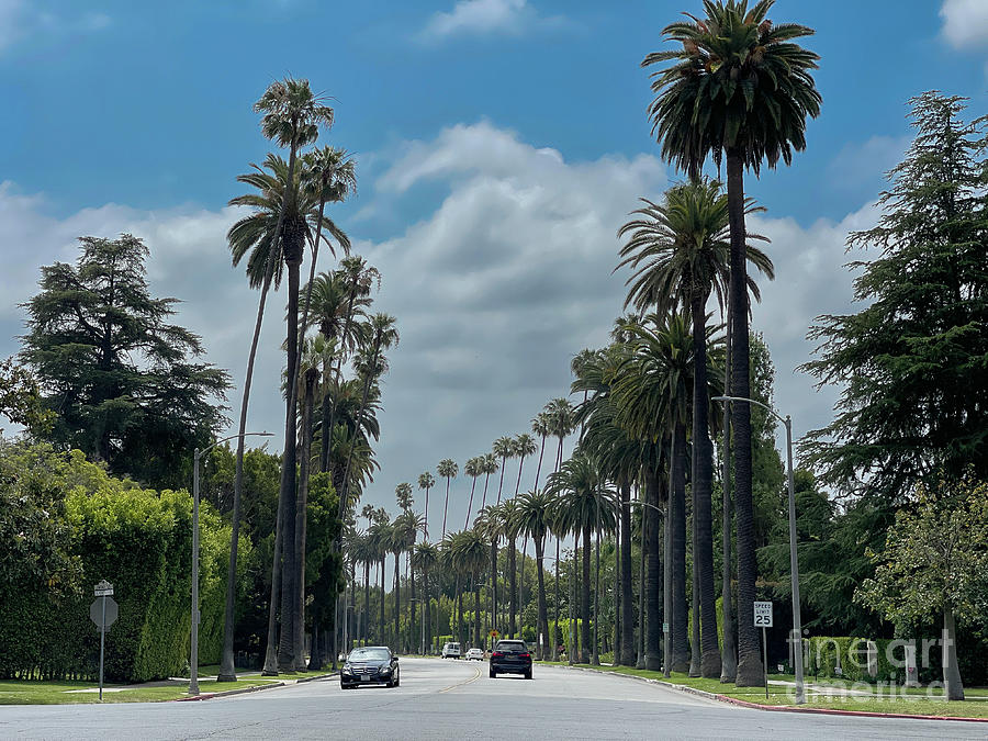 Beverly Drive Photograph by Nina Prommer