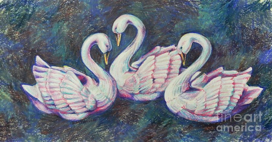 Swans Drawing - Bevy of Swans by K M Pawelec Swans Drawing - Bevy of Swans by K M Pawelec
