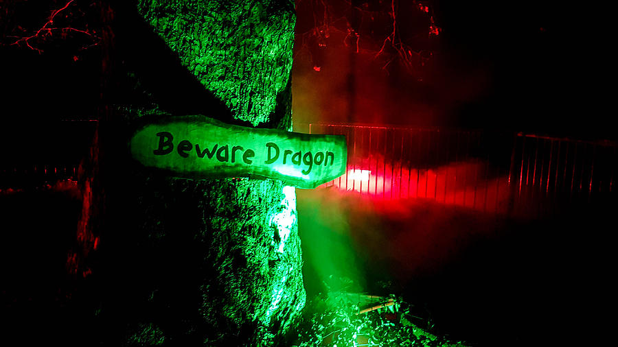 Beware Dragon sign Photograph by Giulia Fiori Photography
