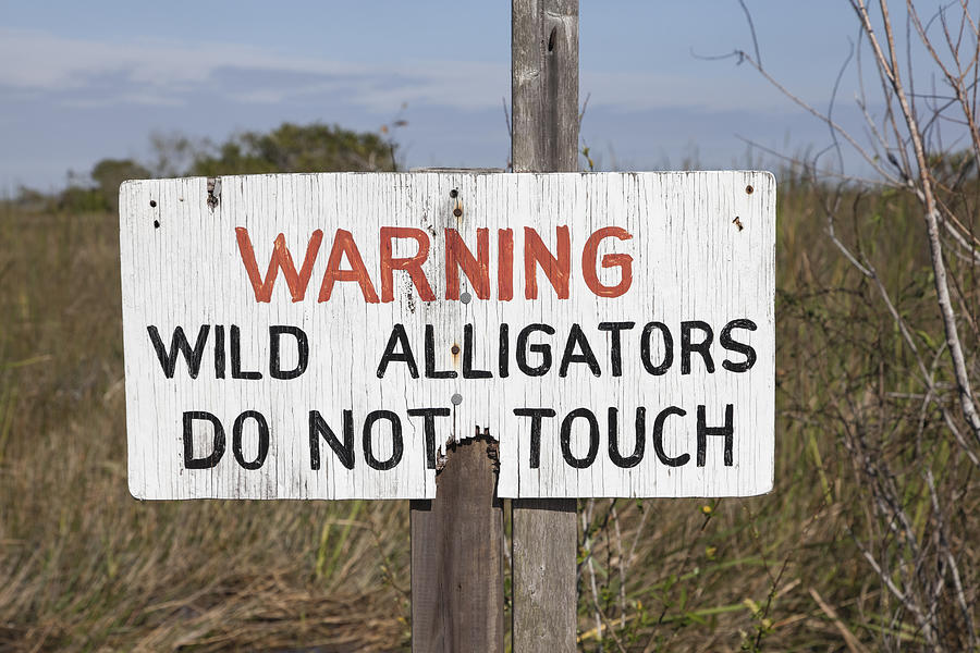 Beware of alligators sign Photograph by Carstenbrandt