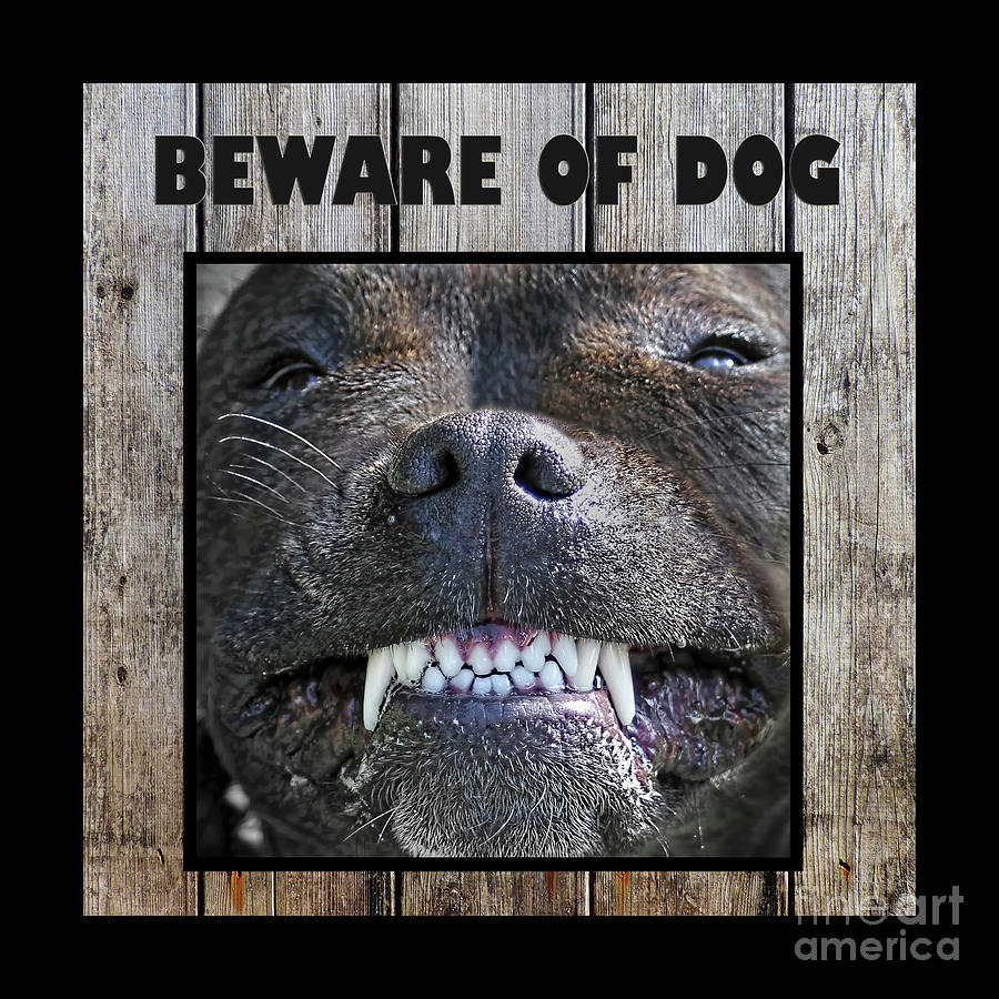 Nature Photograph - Beware of Dog by Kaye Menner by Kaye Menner