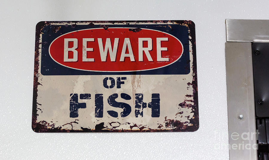 Beware of Fish Photograph by Jim West