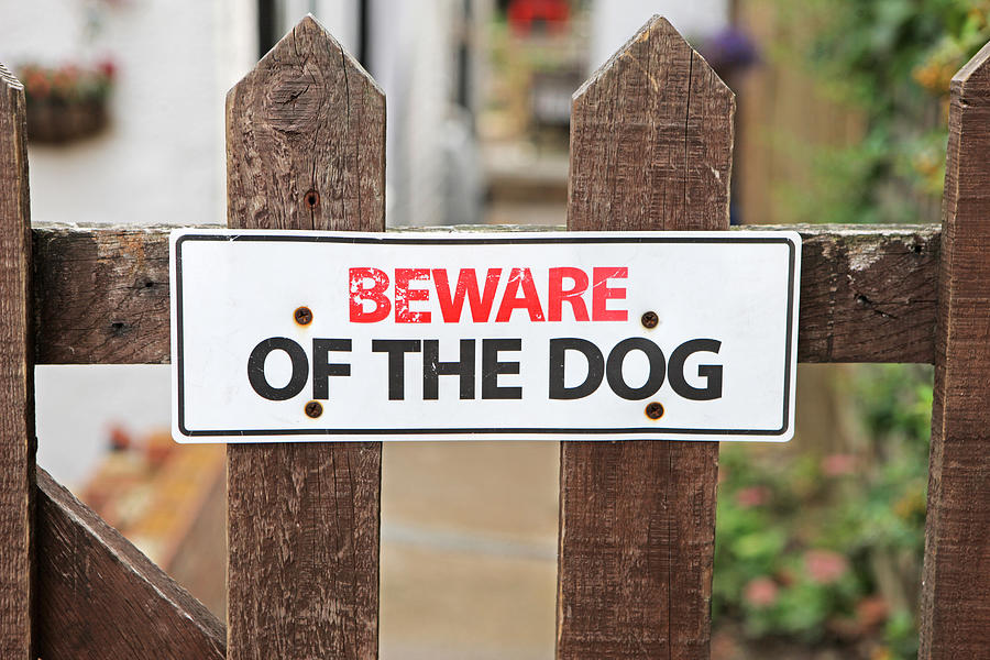 Beware of the dog sign on fence Photograph by Richard Newstead
