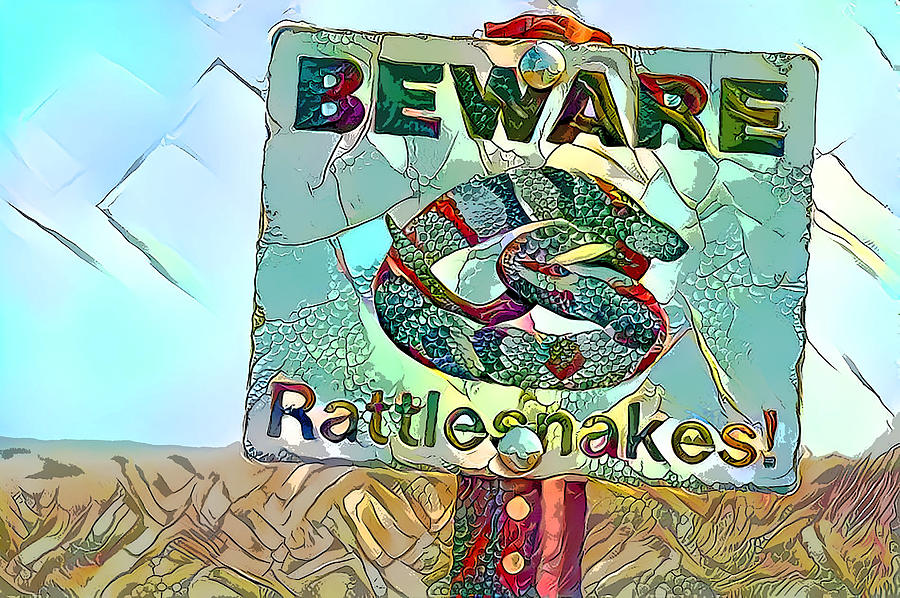 BEWARE Rattlesnakes Sign Photograph by Debra Kewley