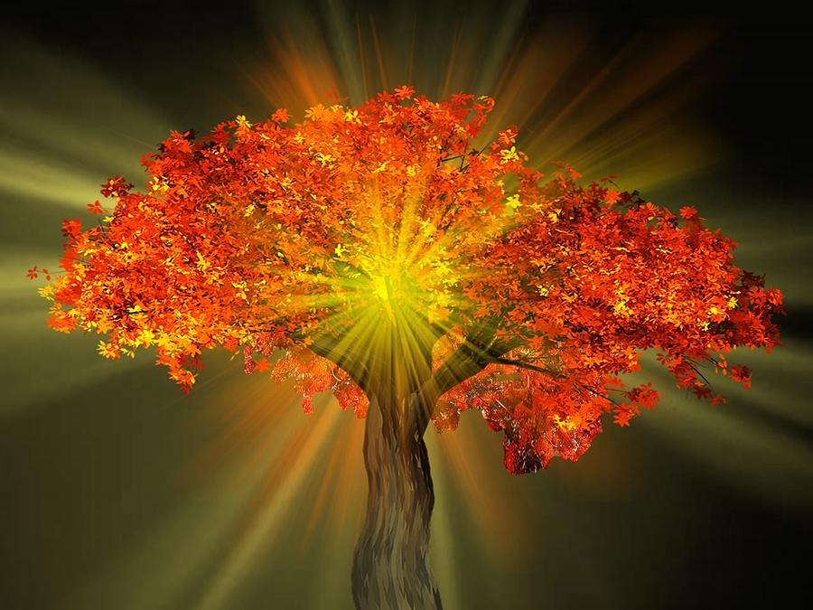Tree Mixed Media - Beyond The Glory by Belinda Threeths