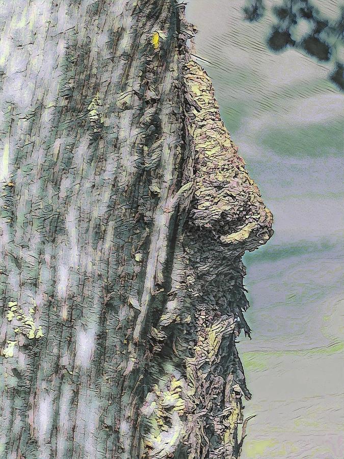 Bezier-tree with nose-Italy Digital Art by Spiga doro-Giancarlo Cencini