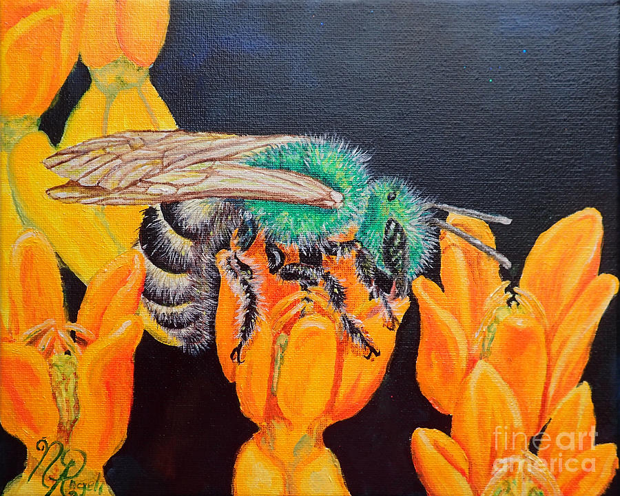 Bi colored bee on milkweed Painting by Nicole Angell