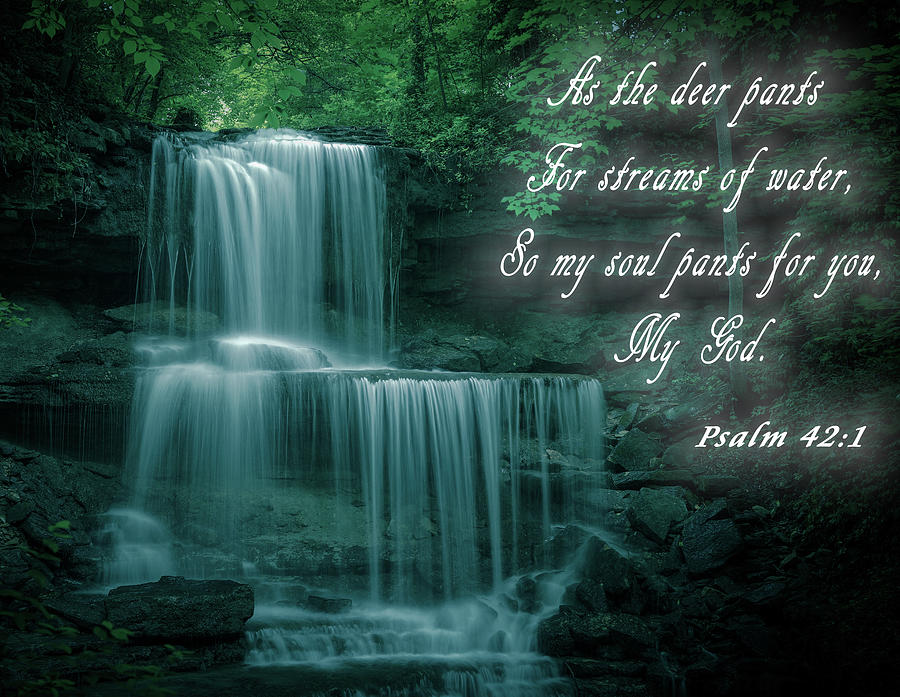 Bible Water Nature Quote Mixed Media by Dan Sproul