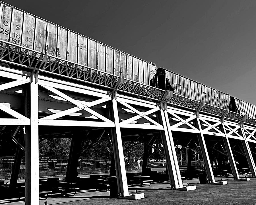 Bicentennial Park Bridge BW Photograph by Lee Darnell