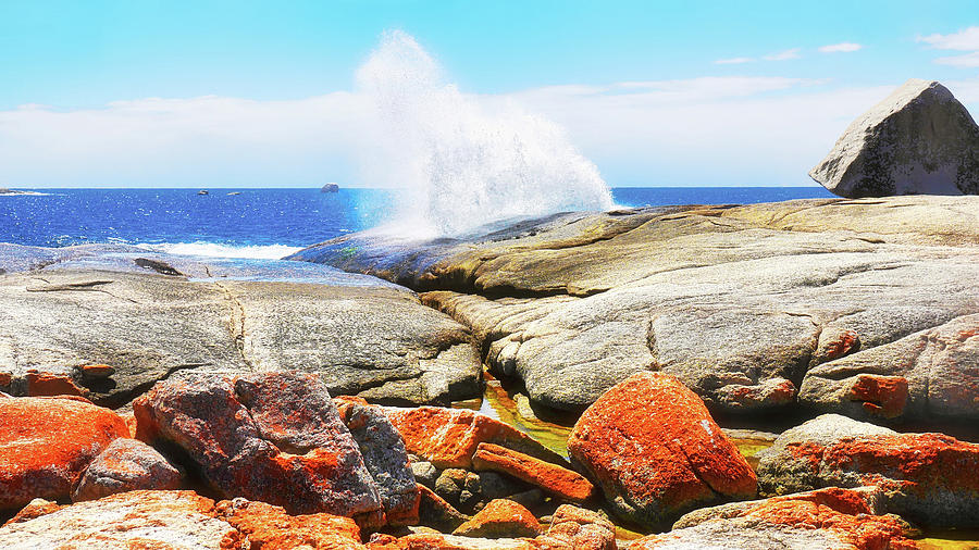 Bicheno Coastline - Tasmania Photograph by Lexa Harpell