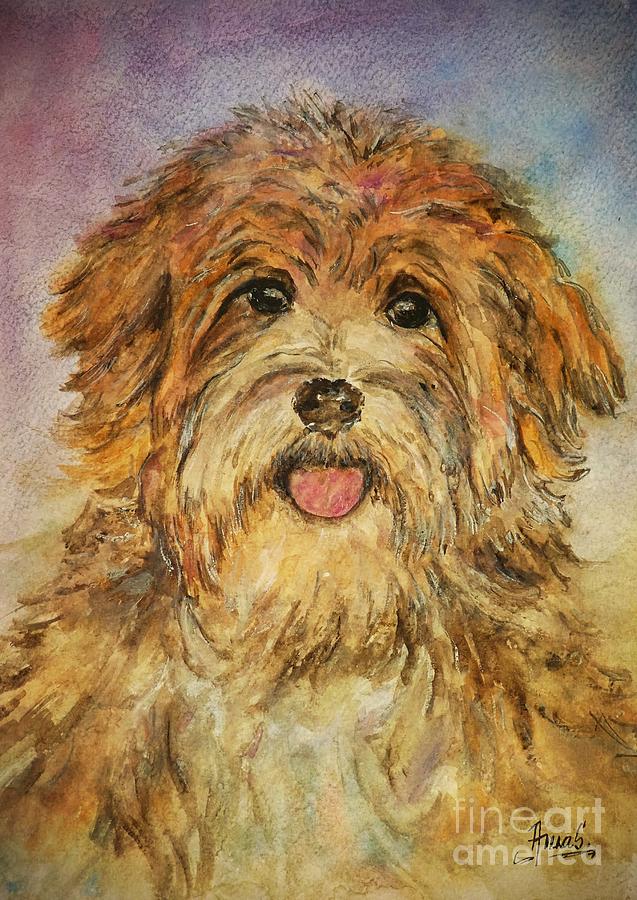 Dog Painting - Bichon Havanese Portrait by Amalia Suruceanu