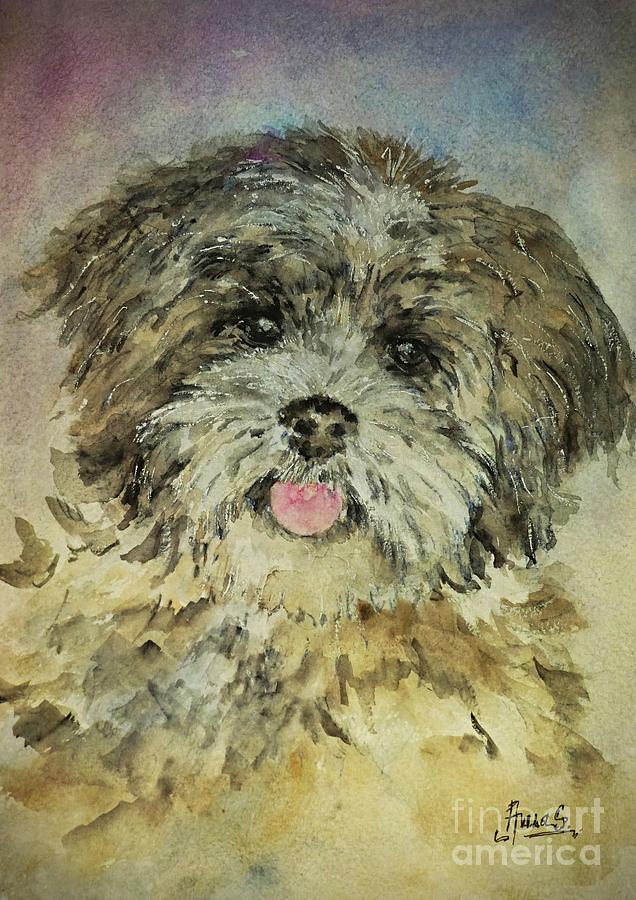 Bichon Havanese Puppy Portrait Painting by Amalia Suruceanu