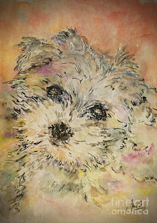 Bichon Maltese Puppy Portrait  Painting by Amalia Suruceanu