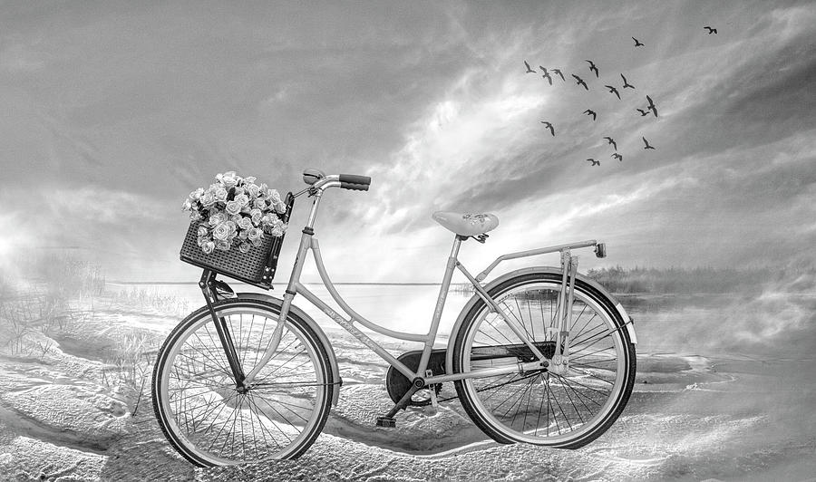 Bicycle at the Lake Beach Black and White Photograph by Debra and Dave Vanderlaan