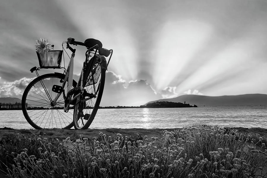 Bicycle at the Shore Black and White Photograph by Debra and Dave Vanderlaan