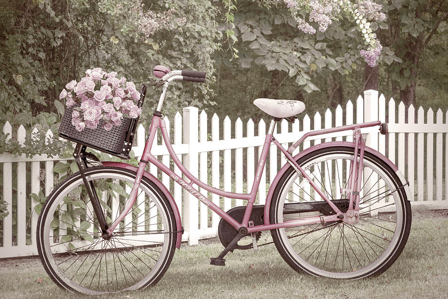 Bicycle by the Cottage Garden Fence II  Photograph by Debra and Dave Vanderlaan