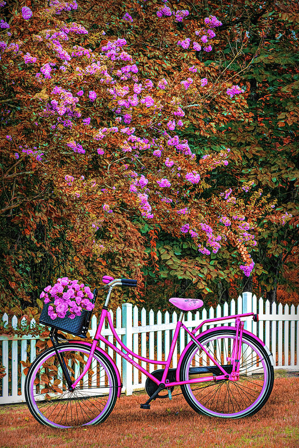 Bicycle by the Garden Fence Early Autumn Photograph by Debra and Dave Vanderlaan