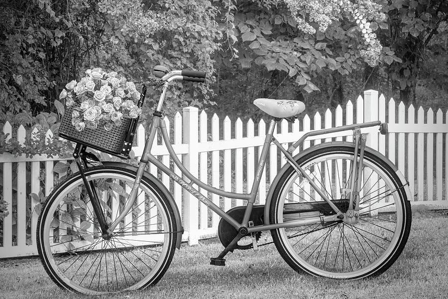 Bicycle by the Garden Fence II Black and White Photograph by Debra and Dave Vanderlaan