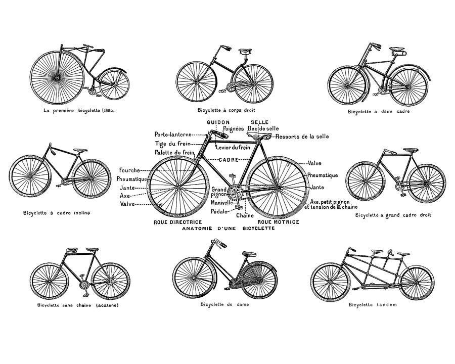 Black And White Digital Art - Bicycle chart in black and white by Madame Memento