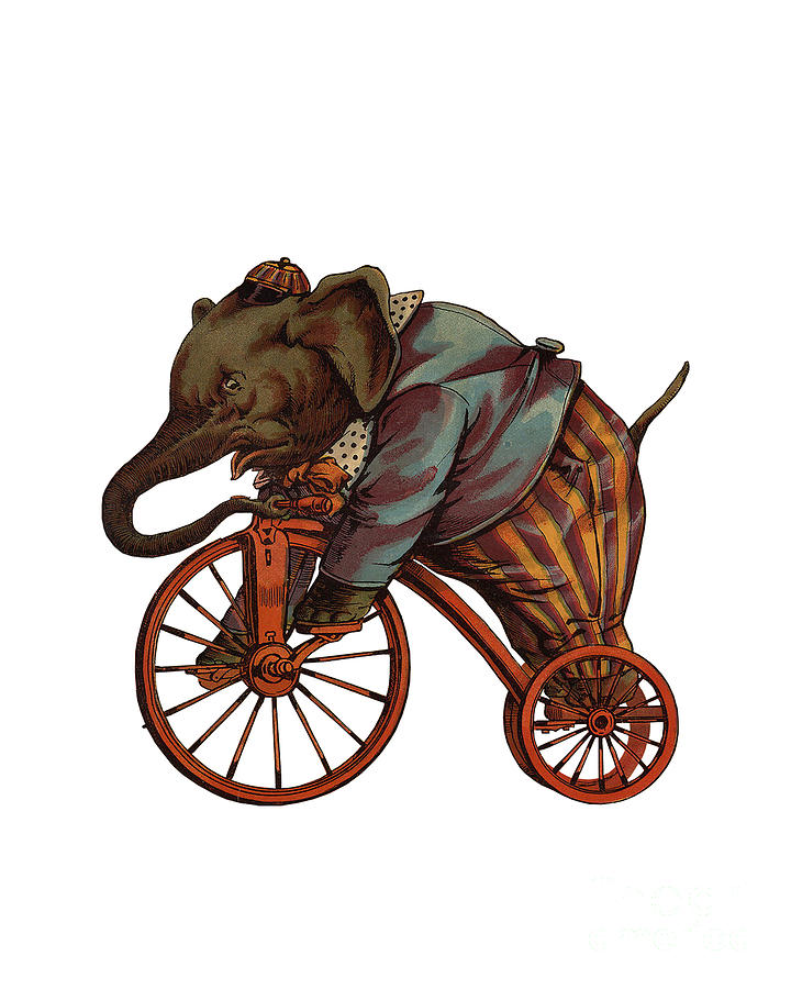 Elephant Digital Art - Bicycle Elephant by Madame Memento