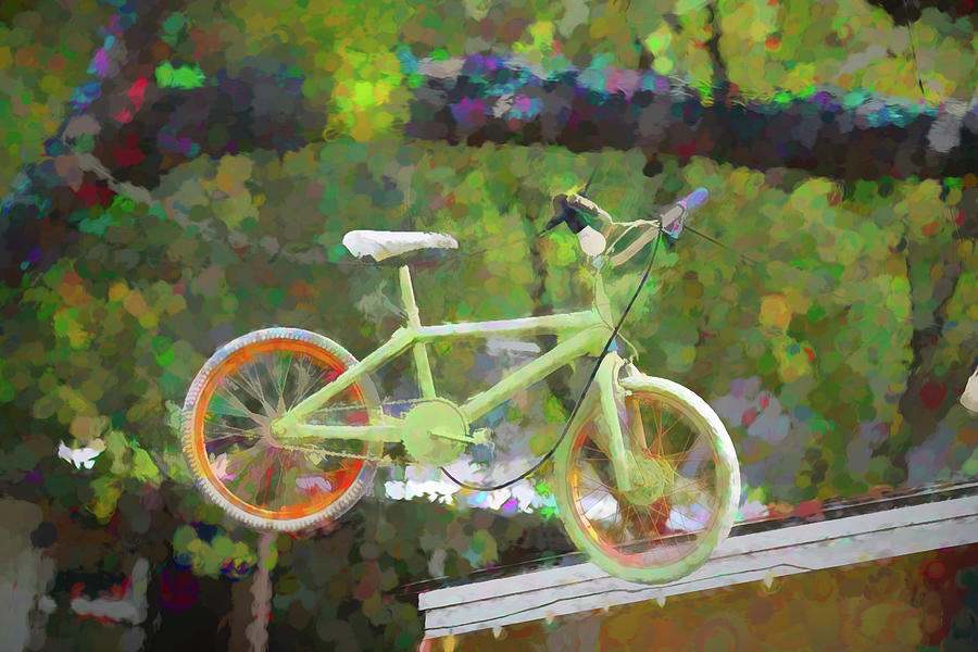 Bicycle In A Tree - Painterly Photograph by Debra Martz
