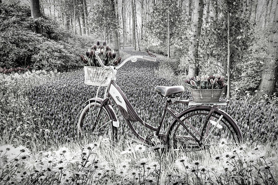 Bicycle in Flowers Black and White  Photograph by Debra and Dave Vanderlaan
