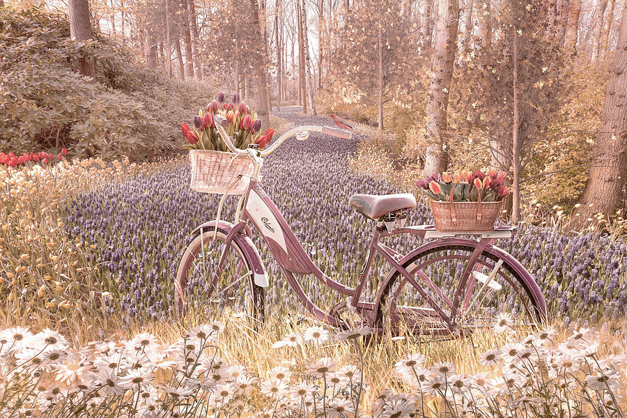 Bicycle in Flowers Cottage Hues Photograph by Debra and Dave Vanderlaan